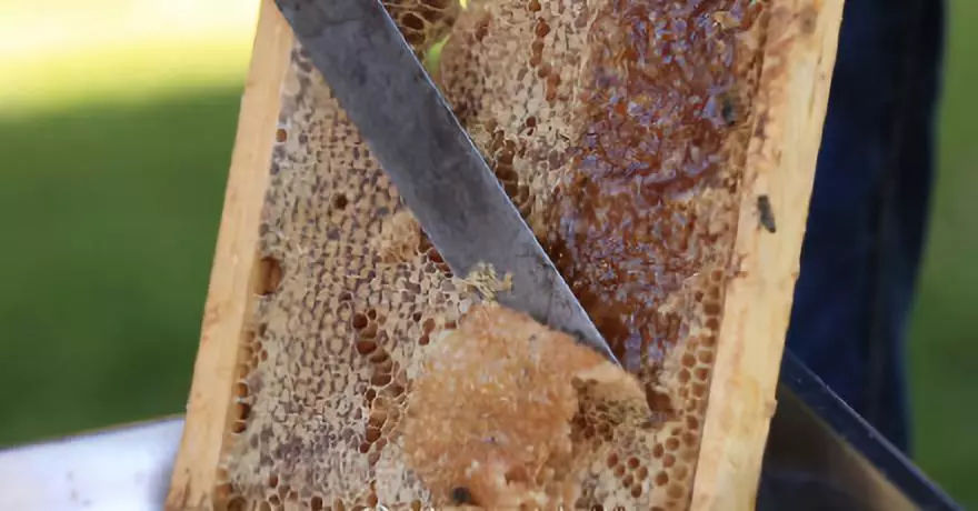 椹嚒瀛﹀爞瑙嗛,椹嚒瀛﹀爞濞佸+蹇岀殑鍠濇硶