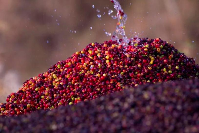 星巴克咖啡不知道点什么咖啡,星巴克不知道的咖啡