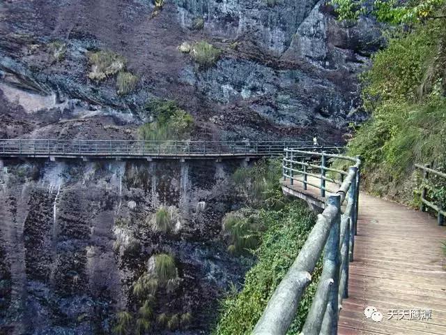 鹰潭和龙虎山道教,鹰潭龙虎山道教发源地