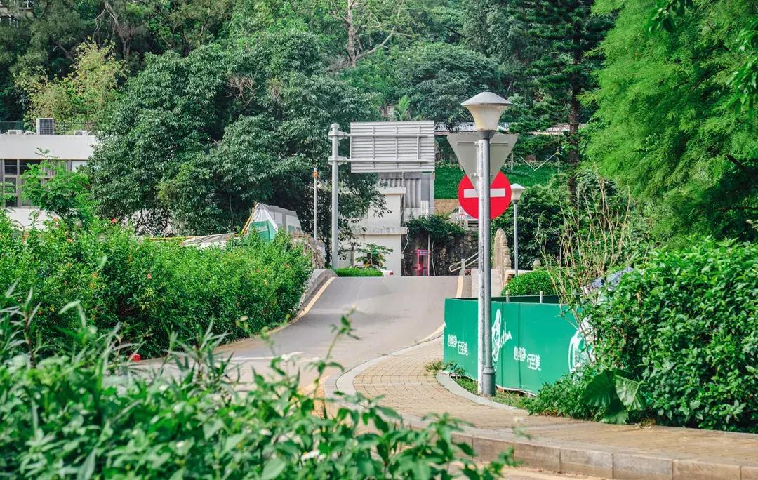 深圳银湖山游玩,深圳银湖有什么好玩的地方