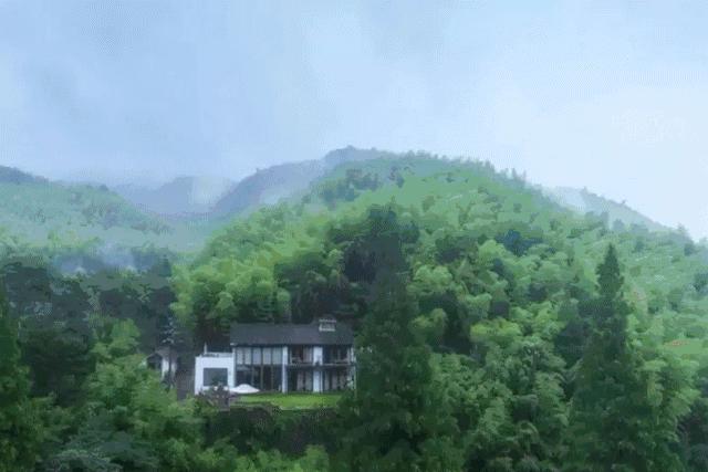 民宿投资的坑,民宿投资合伙人骗局