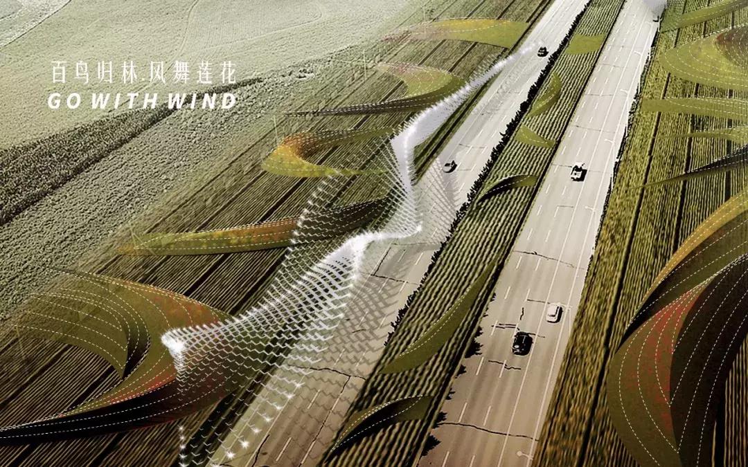 获奖作品广场舞大赛,莲花山杯全国摄影大赛