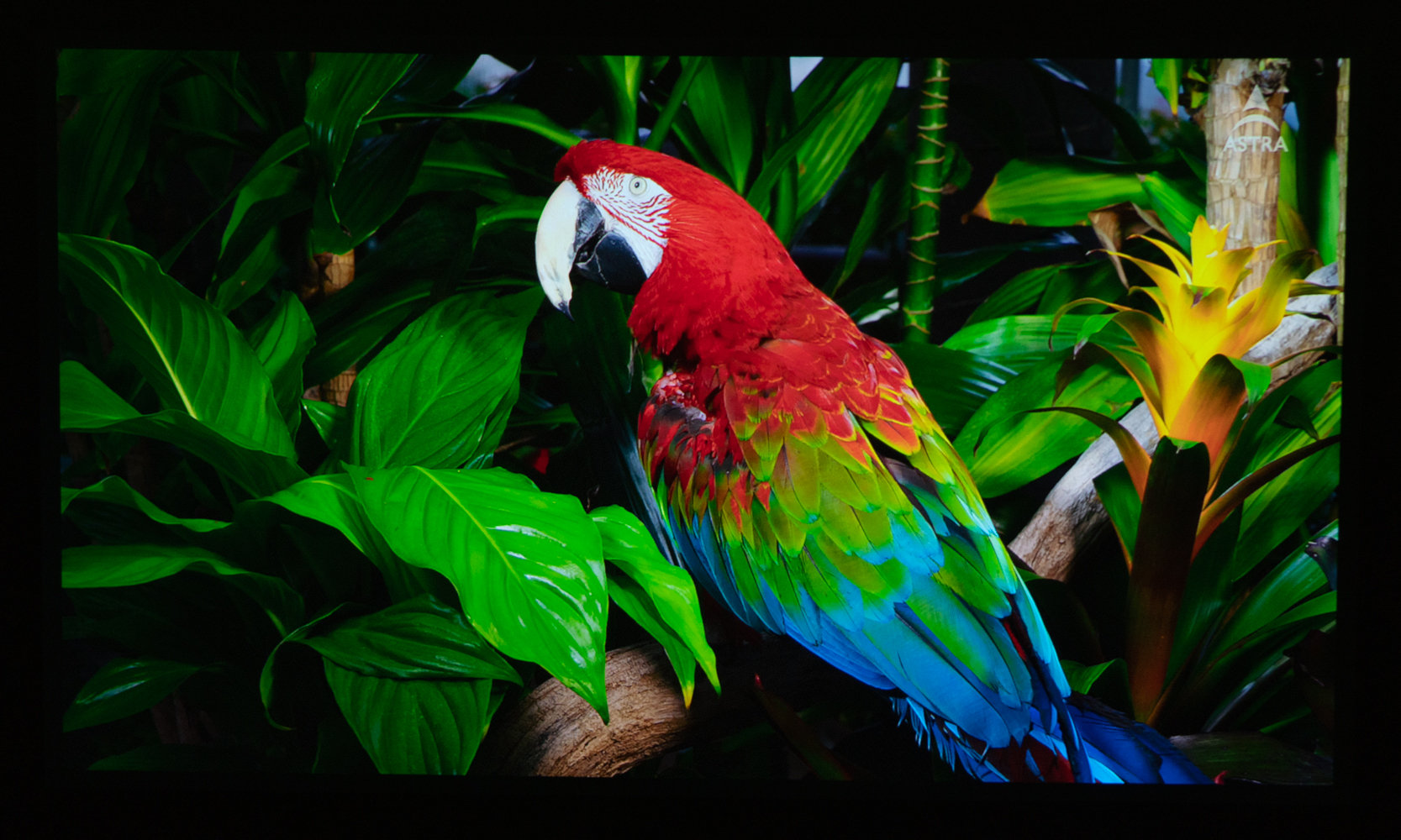 峰米投影仪smart升级版对比普通版,峰米smart投影仪对比小米2