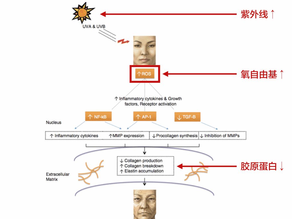 脸上毛孔粗大怎么改善别慌还有救,痘坑毛孔粗大治疗的科普视频