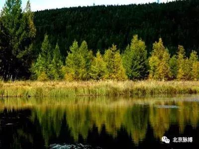 北京国家森林公园风景,画说北京故事