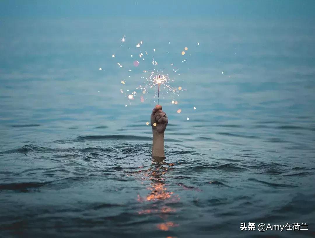 荷兰牛栏奶粉1段普通版和铂金版,荷兰牛栏白金版和荷兰牛栏区别