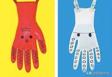 近年来实用的设计,最近的设计比赛