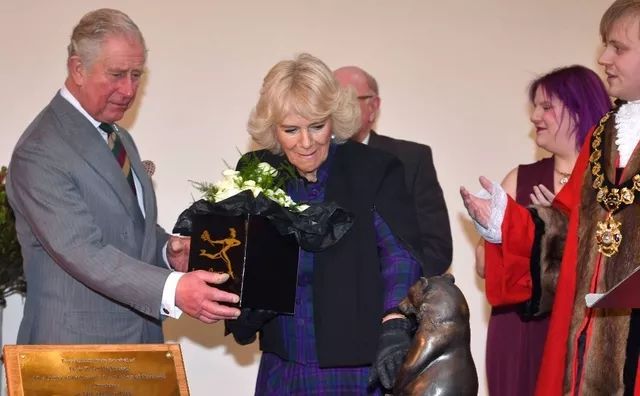 英国查尔斯王子新冠病毒阳性 (查尔斯王子新冠肺炎痊愈)