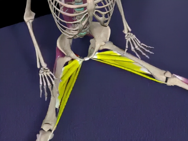 腰腿痛病因病机是什么,腰腿痛的病因全在这里了