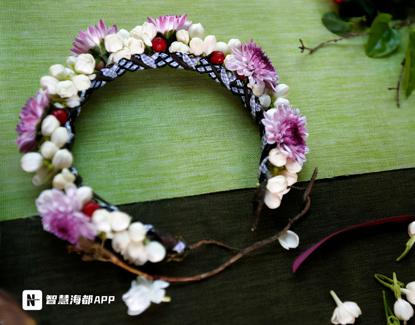 茉莉花怎么耐晒,一年开花300天养不死的花