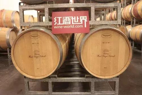 十问十答全文及答案,十问十答土味情话