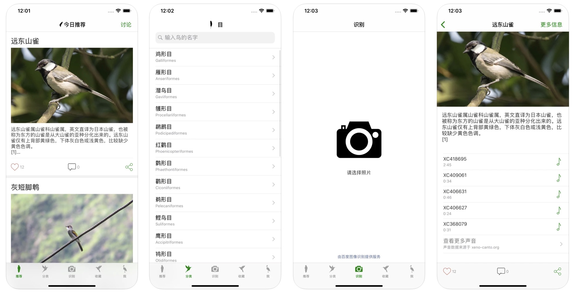 iphone14将取消mini版本吗,iphone14mini版本