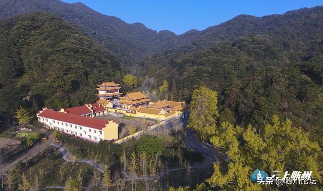 随州大洪山半程马拉松第一名,随州马拉松比赛时间