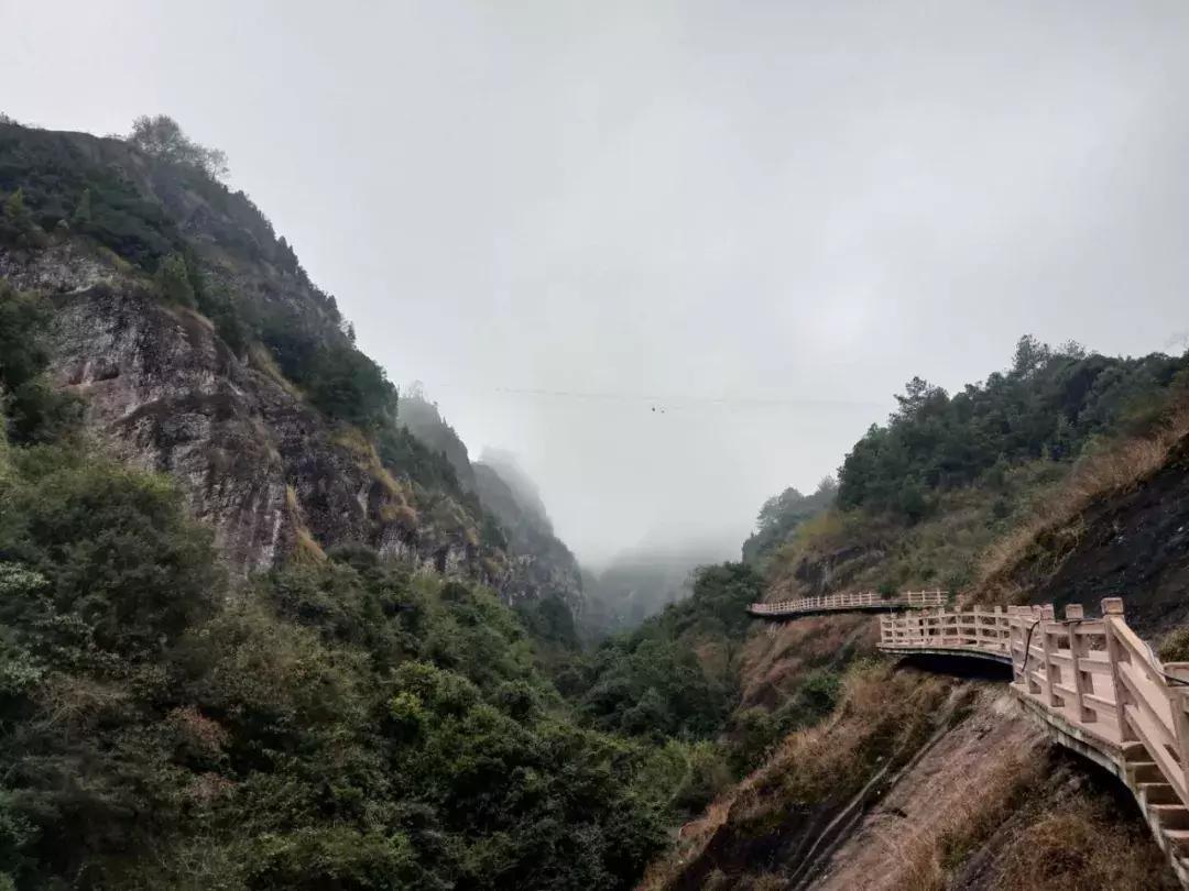 前年我有个朋友说去连城过年,到现在还没有回来