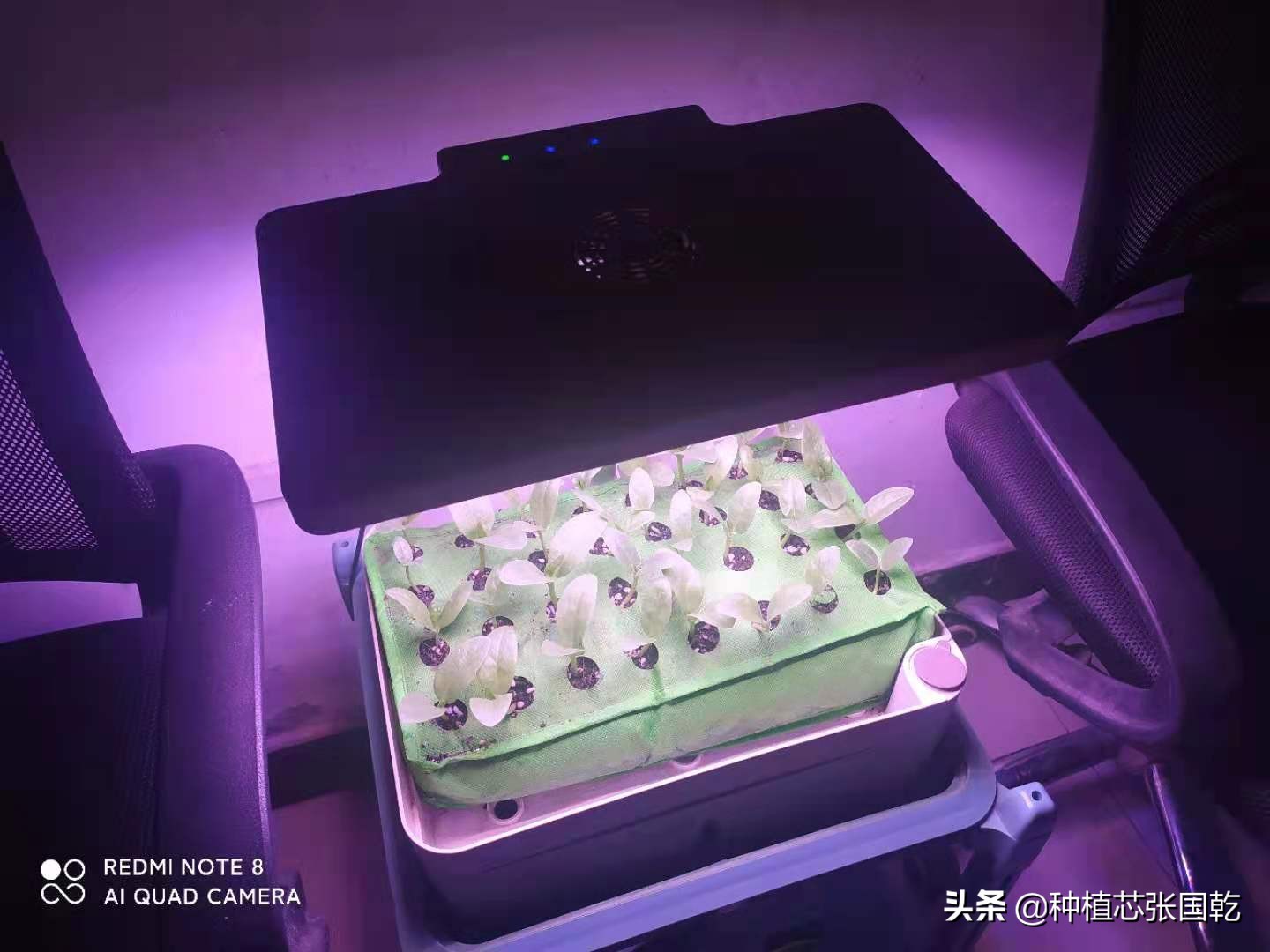 智慧农业创新创业大赛项目推荐,农业创新创业案例分享