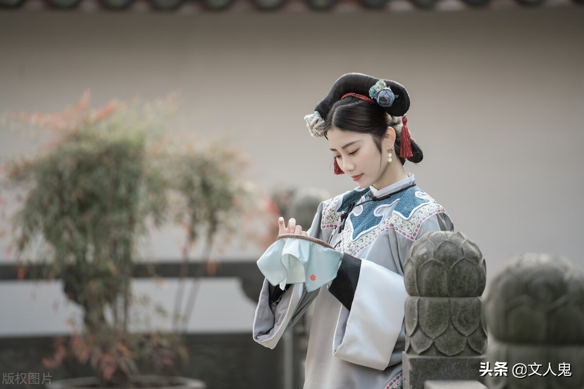 网文小说的基本知识归纳,网文基础知识