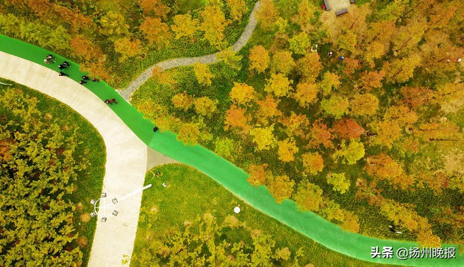 2018年冬天扬州赏花攻略,扬州11月秋景打卡地