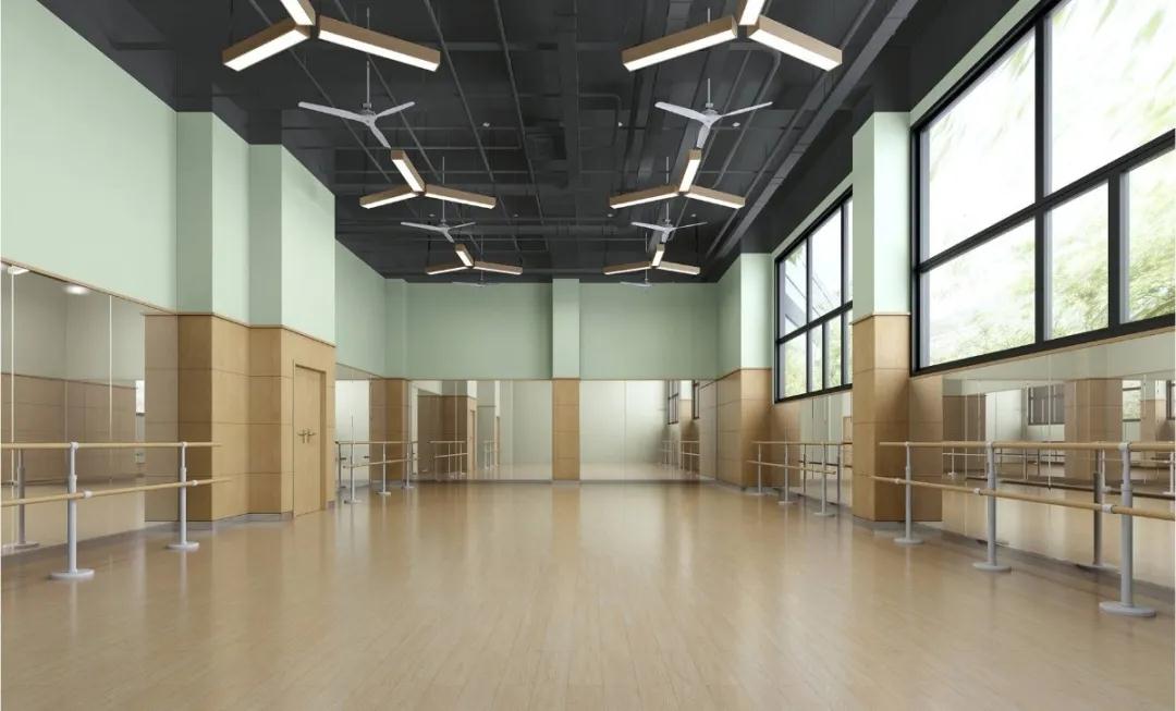 天府新区华阳小学与天府三小,天府新区比较好的小学