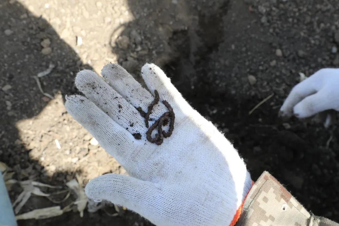 返乡入乡创业创新宣传周实施方案,返乡入乡创业创新政策宣传信息