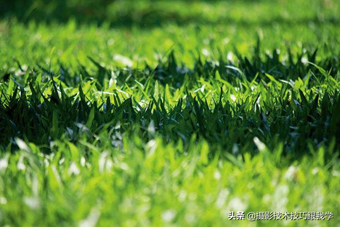 摄影技术有哪些要点,摄影中的景深有什么用