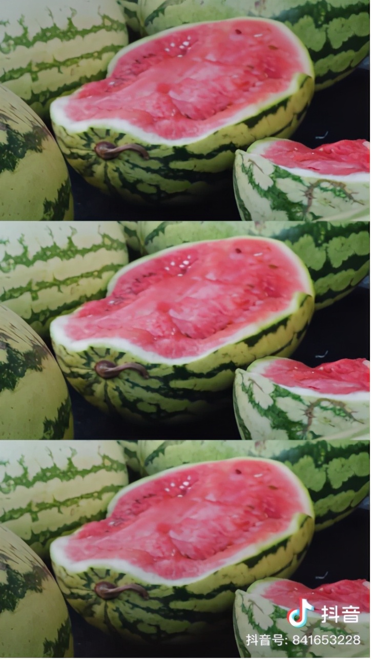 观看林丹羽毛球赛心得,看林丹羽毛球比赛全集