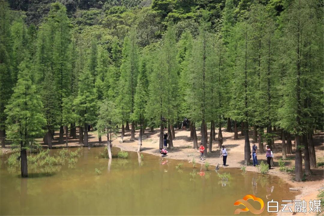 阳光正好来场户外,阳光正好去爬山