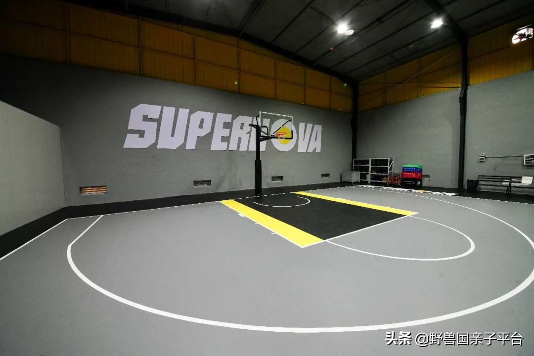 东莞儿童篮球培训机构哪个好,东莞儿童健身球哪家好