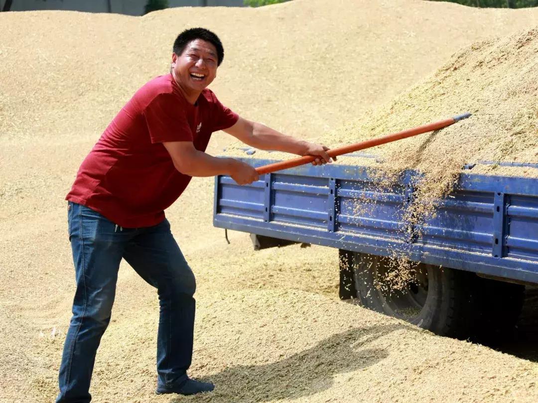 【超燃来袭】武清：70张笑脸，用稳稳的幸福，致敬可爱的祖国！