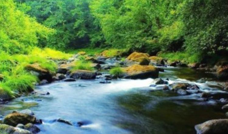 桂林平乐美食攻略,桂林美食攻略10元