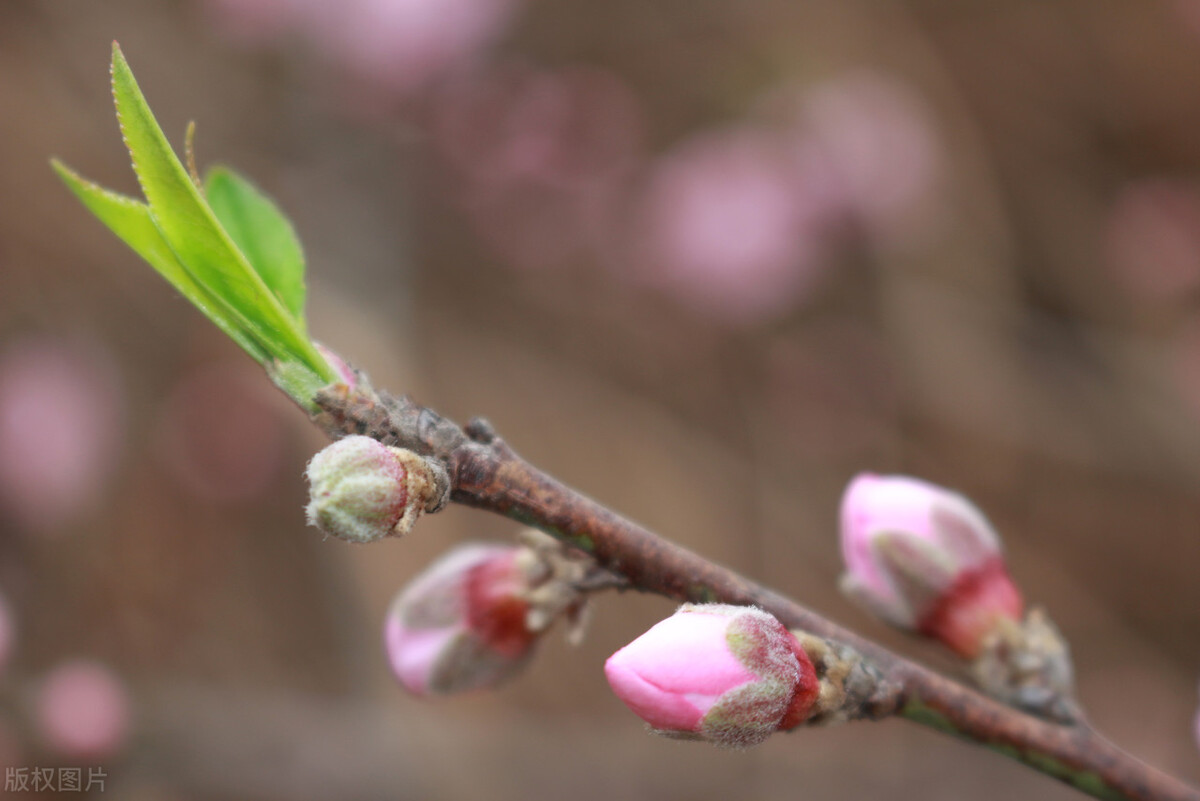 广东五华县,广东五华县跳河救人