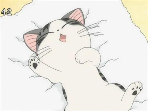 盘点二次元猫咪 (可爱二次元猫咪大全)