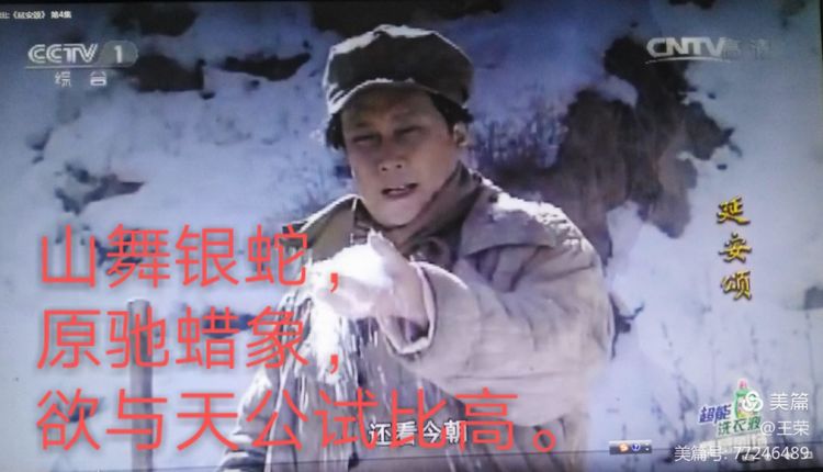 *园春沁**·雪毛*东泽**