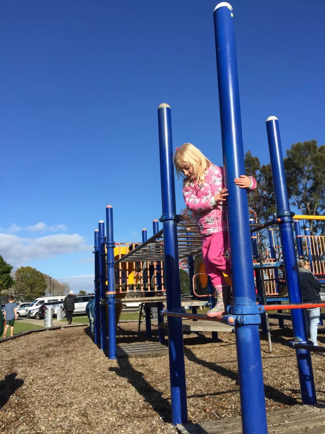 漫话新西兰,漫话新西兰漫画