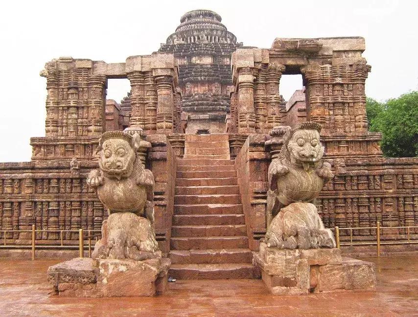 狮子山下,狮子迁徙几千公里