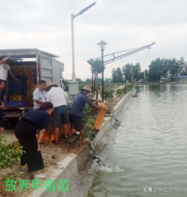 湖南稻湖生态农业开发有限公司,湖南白云生态农业