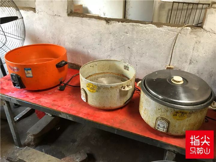 马鞍山流浪狗救助中心在哪里,曝光流浪狗救助真相