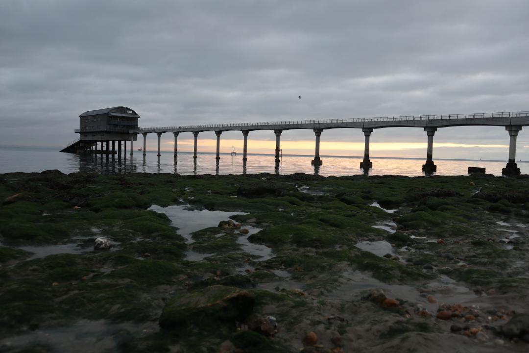 菜菜游天下英国怀特岛的冬天喘息的季节