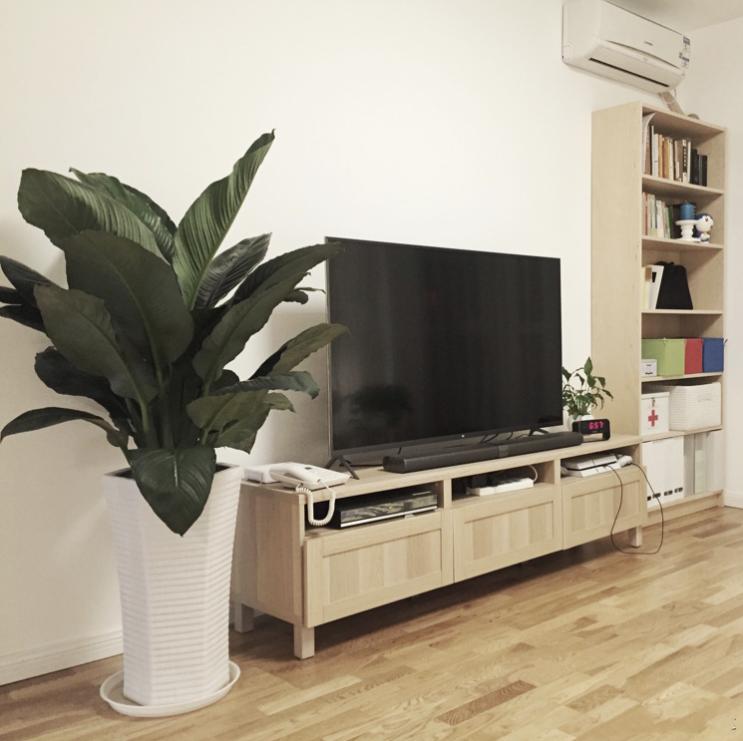 北京夫妇的断舍离生活：控制“买买买”，全屋收纳堪称模范！晒晒