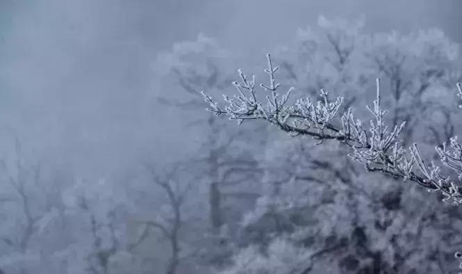 雾凇之美宛若仙境,连云港花果山雾凇美得像仙境