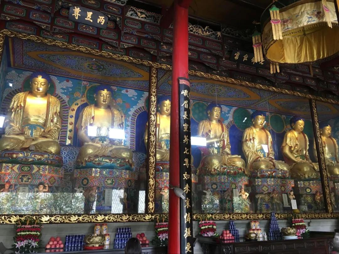 峨眉十大网红打卡地,峨眉网红打卡景点