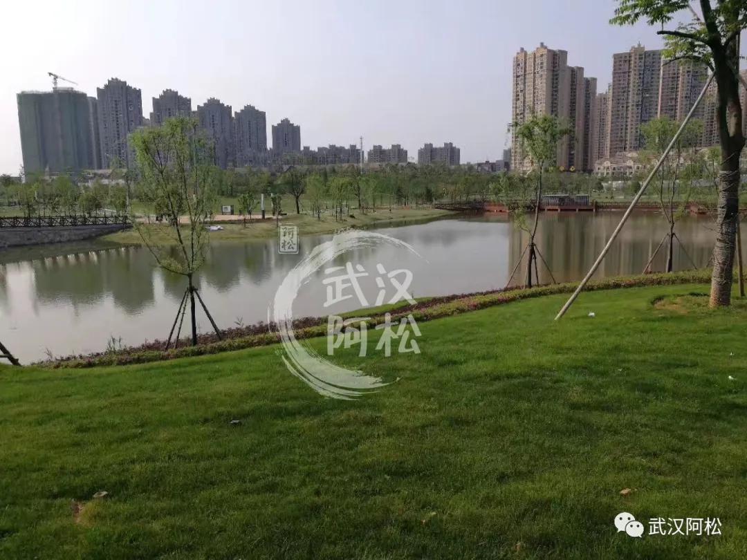 之前买的都笑开花了!光谷三环边77平两房!旁边有好学校!