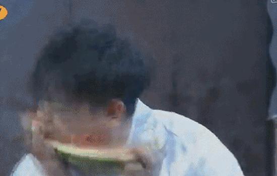 恰逢阳光明媚,恰逢阳光