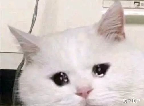 图文并茂网恋第一次见面