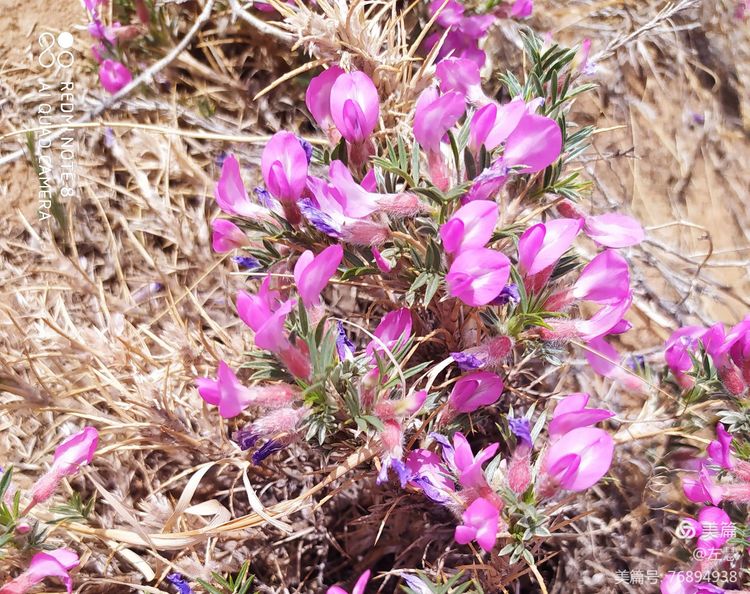 内蒙古二连浩特地图,内蒙古二连浩特机场