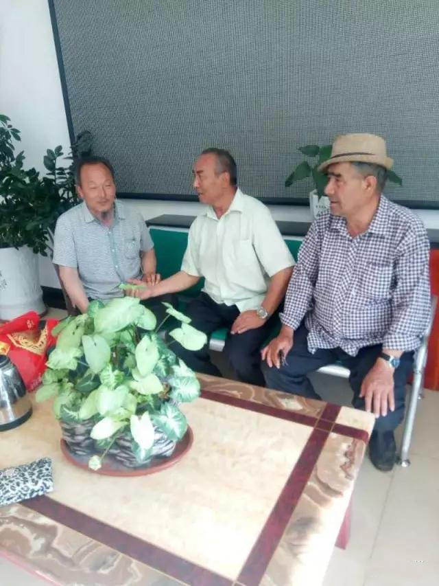 中国新时代国医大师,名老中医朱培