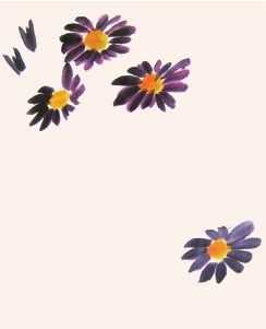 国画菊花的叶子画法步骤入门,梅兰竹菊国画菊花初学者怎么用笔