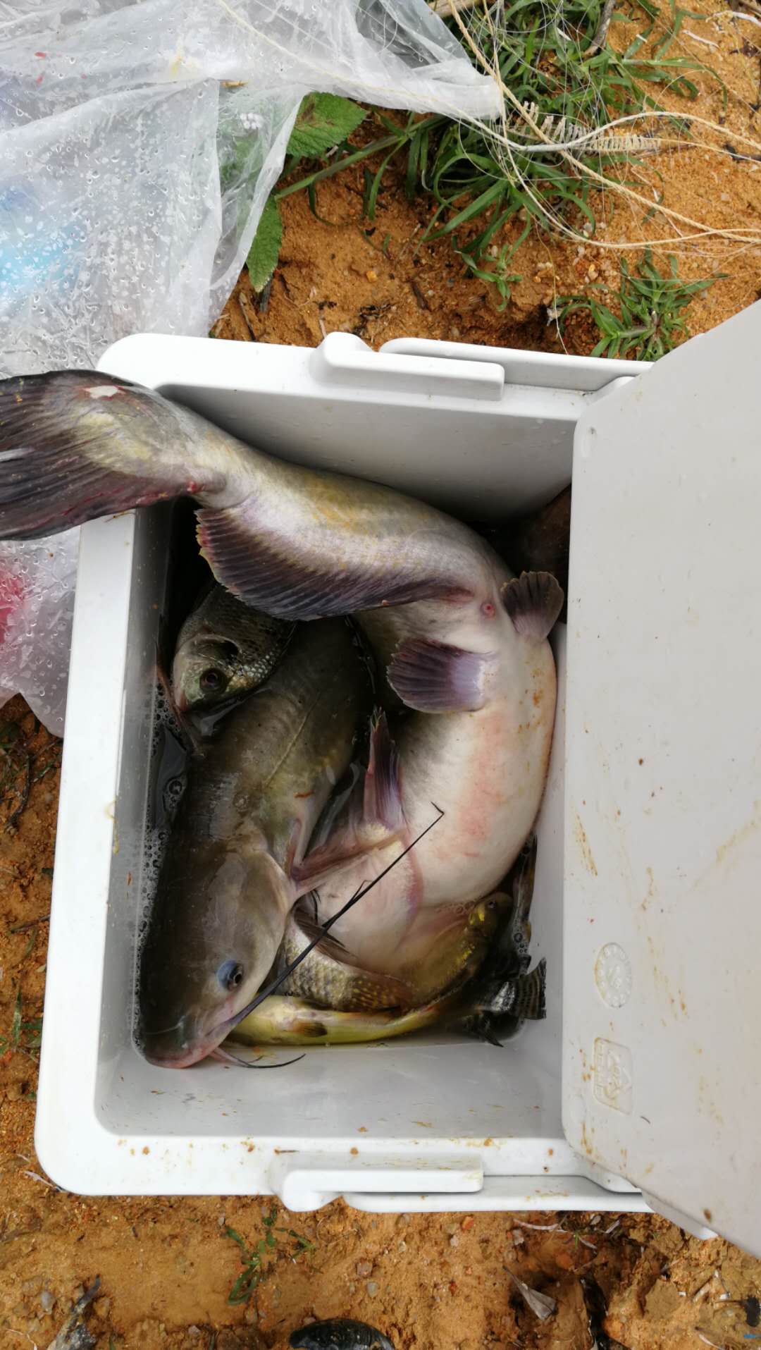 如何选择一款便宜好用的鱼竿？这三个原则用好就可以