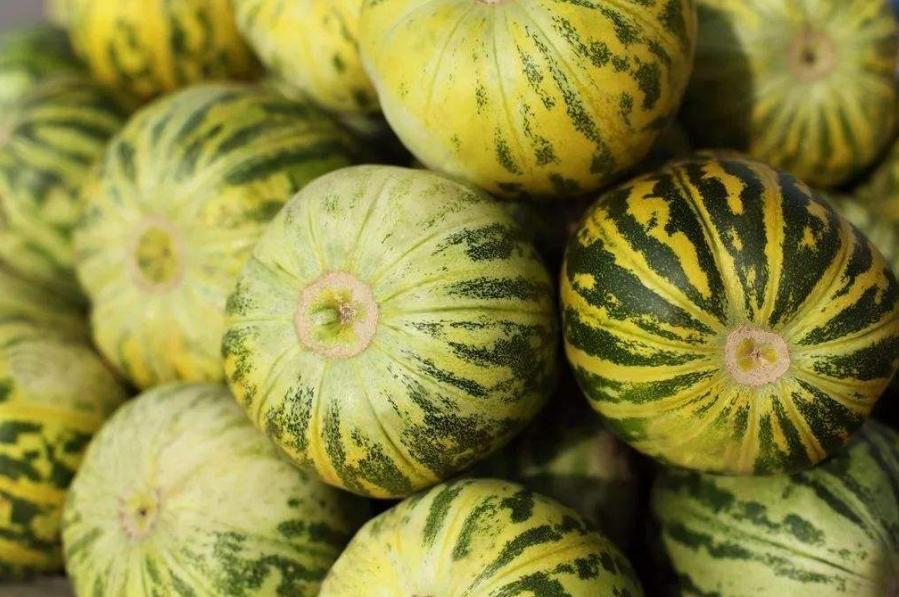 买香瓜是白绿皮还是黄皮好,买香瓜的时候如何挑选