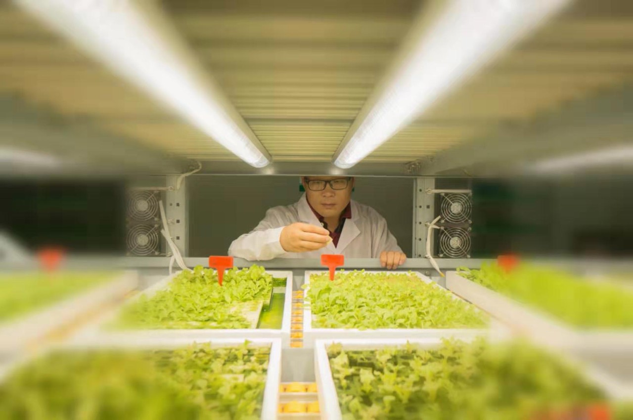 中环易达设施园艺科技有限公司,中环易达魏华农