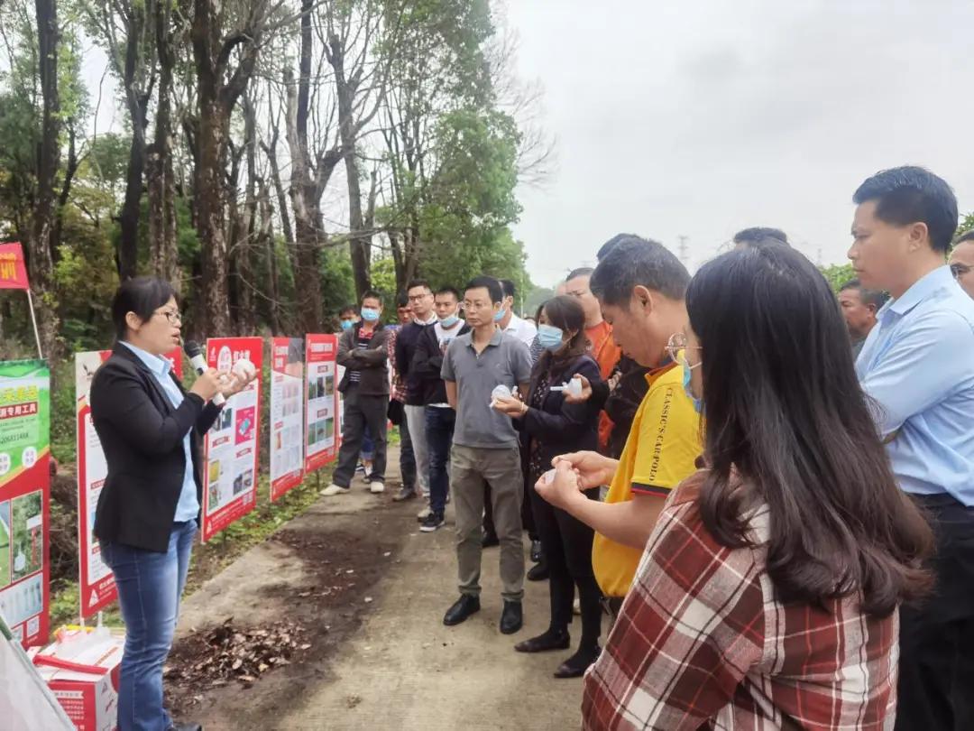 南沙｜@东涌街坊，专家建议，红火蚁得这样治